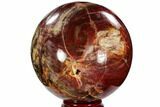 Colorful Petrified Wood Sphere - Madagascar #106003-2
